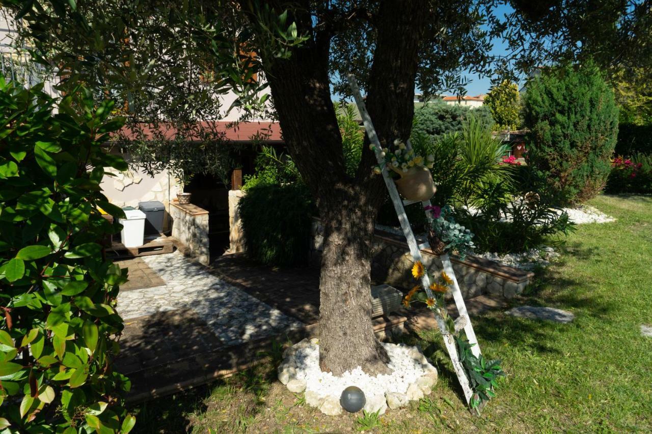 Bed & Breakfast Mafi Orsogna Ngoại thất bức ảnh